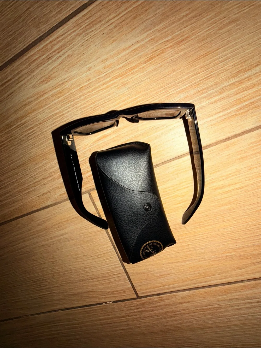 Ray-Ban Men's Brown Frame Black Lens Sunglasses